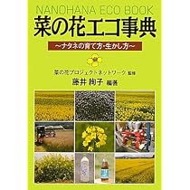 菜の花エコ事典〜ナタネの育て方・生かし方〜 | 藤井 絢子, 菜の花