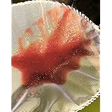 Amazon わさび サプリ Premium めだか 針子の生存率向上 水を汚さない植物性100 のメダカ餌 わさび ヘルスケア 通販