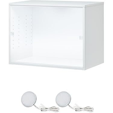 Amazon.co.jp 最新リリース: コレクターアイテム用ディスプレイケース