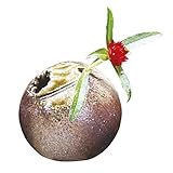 花入 小さい ミニ 花瓶 一輪挿し 花瓶 陶器 和室 花器 花 インテリア 季節 癒し おしゃれ 可愛い シンプル 上品 プレゼント 陶器 日本製 びーどろ丸 G5-3807