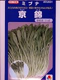 ミブナ　タキイ交配　京錦壬生菜　タキイのミブナ種です