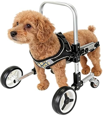Amazon.co.jp: 犬 車椅子 前足用 歩行器 4 輪タイプ 高さ・横幅調整