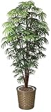 tree-j/ 造花 光触媒 観葉植物 シュロチク 180cm