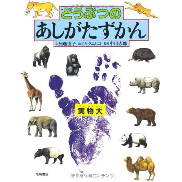 のはらのずかん: 野の花と虫たち (絵本図鑑シリーズ 12) | 長谷川 哲雄
