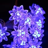 Dovewill 2セット　お買い得　蓮花型　と　コウモリ型　電球　LED　ストリングライト　イルミネーション　飾り物　パーティー　ハロウィン最適