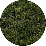 グリーンスタッフワールド(Green staff world) 草の帯 12mm ダークグリーン ホビー用素材 GSWD-13446 (情景)