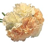 人工シルクフェイク6花束の花束花の装飾のカーネーション
