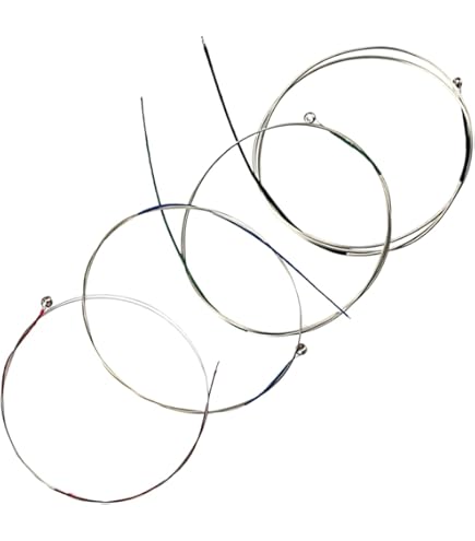 Amazon | Eudoxa オイドクサ ヴィオラ弦 G線 ガット シルヴァー巻 4/4