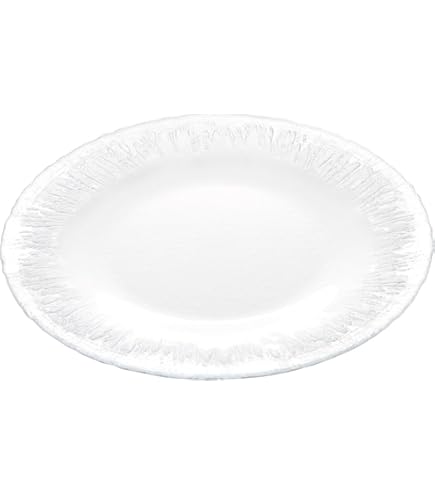 Amazon.co.jp: 石鳳窯 赤土ビードロ 大皿 ガラス釉 : ホーム