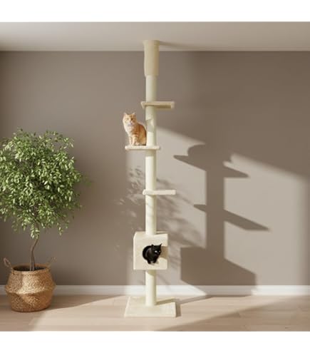 Amazon | 輝力士 キャットタワー 突っ張り 木製 スリム 猫爪とぎタワー