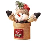 特別なクリスマスキャンディージャー美しいクリスマスギフト