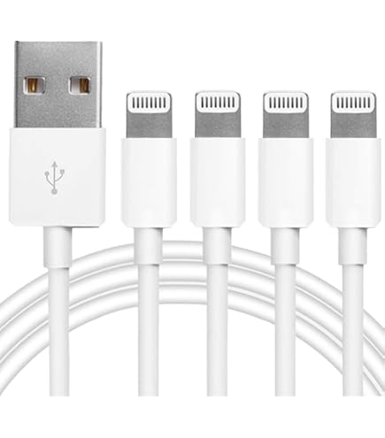 Amazon.co.jp: USB-A - USB-C 高速充電ケーブルコード iPad Pro 12.9