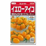 [サカタ　野菜タネ]ミニトマト イエローアイコの種2袋セット ノーブランド品