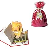 オリジナル絵本「ビッグパレード」×洗えるぬいぐるみ「ライオン」のギフトセット 通常子供ラッピング