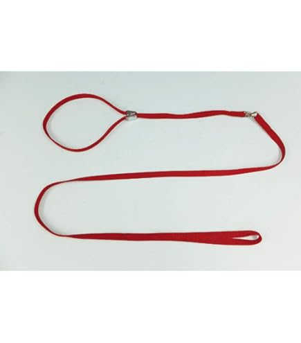 Amazon.co.jp: 神戸工房 トロットリード ボーダー 青 : Pet Supplies