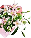 花由 大輪オリエンタルリリー（ユリ）の花束 ブーケ ピンク系 お祝い用