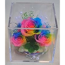 レインボーカラー プリザーブドフラワー アレンジメント Amazon｜四葉のクローバー入り虹色の薔薇 レインボーローズ3輪