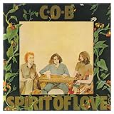 SPIRIT OF LOVE