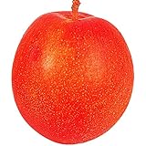 国華園　果樹苗　スモモ　ビッグオザーク　1株