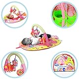 Playgro Fairy Gym [並行輸入品]