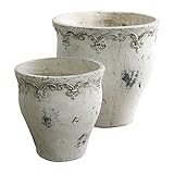 COVENT GARDEN ブランシェ・ジャーポット2点セット QP-65