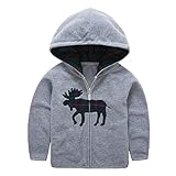 HUAER& SWEATER ベビー・ボーイズ カラー: グレー