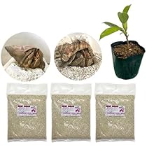 ヤドカリ飼育セット　豪華8点セット ヤドカリ飼育セット豪華8点セット