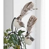 COVENT GARDEN グレーバード・アソート UT-02