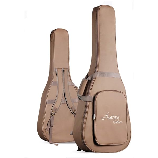 Amazon.co.jp: Taylor GS ミニギグバッグ : 楽器・音響機器