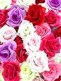 ZERONOWA 造花 花部分 のみ 薔薇 ローズ 50個 セット ブライダル パーティー (プリンセス)