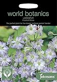 WB 英国ジョンソンズシード Johnsons Seeds world botanics collection Larkspur Frosted Skies ラークスパー（千鳥草）・フロステッド・スカ