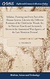 Syllabus. Pointing Out Every Part of the Human System. Likewise the Different Positions of the Child in the Womb, &c. as They Are Exactly and Accurately Shewn in the Anatomical Wax-Figures, of the Late Monsieur Denouë