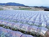 農ポリ 厚さ0.05mm×幅210cm×長さ100m 2本セット