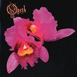 Orchid