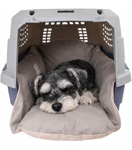 Amazon | Helen's 夏用キャリークッションベッド iCOLD 接触冷感