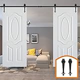 HomeDeco Hardware 引き戸 金具 レール金具セット アウトドア用品 12 FT (3.66メートル) ダブルドア