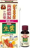 【第3類医薬品】生葉液薬 20g