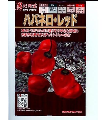 Amazon | 唐辛子 種 【 朝鮮なんばん (激辛) 】 種子 10ml | 野菜