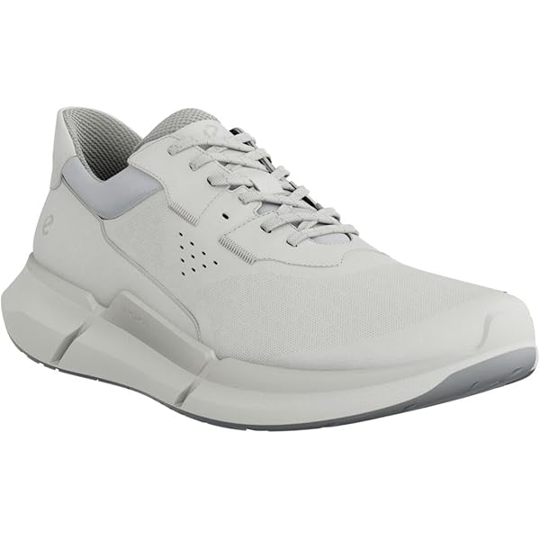 極美品 エコー ECCO バイオム 2.2 スニーカー 白 24 ゴアテックス Amazon | [エコー] スニーカー バイオム 2.2 レディース WHITE
