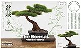 プラッツ 1/12 ザ・盆栽 弐 w/エッチング製剪定鋏 プラモデル BON-02SP