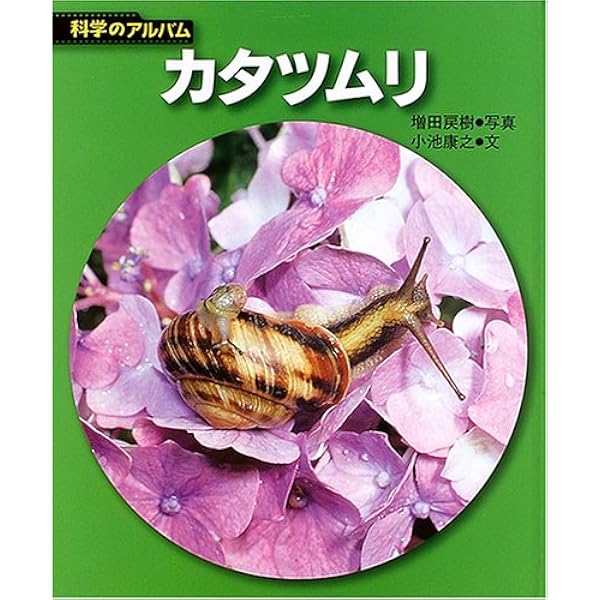 かたつむり カタツムリポット：E-12(20個) | ワールド・アグリ オンライン