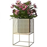 オープンワークの鉄花植物のディスプレイスタンドゴールデンルーフミニマリスト芸術のデザインあなたの屋内屋外のリビングルーム (サイズ さいず : 26.5 * 30 * 46)