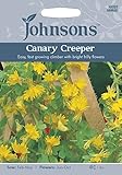 【輸入種子】 Johnsons Seeds Canary Creeper キャナリー・クリーパー ジョンソンズシード
