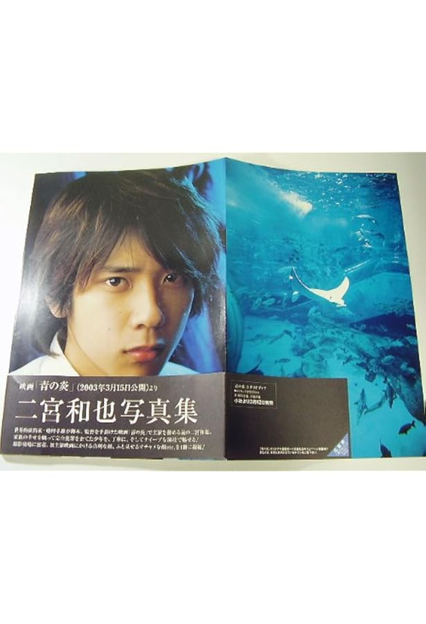 嵐 二宮和也 コンプリートお宝フォトファイル Infinity (RECO BOOKS