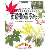 街の休日 歩いて親しむ街路樹の散歩みち
