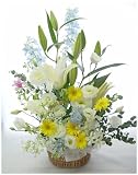 思い出の…アレンジお供え花7 バスケット お彼岸の花  お盆の花  一周忌 三回忌の花 弔事 四十九日 一周忌 法事 法要 仏事の花 (法事)