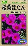 カネコ種苗 草花タネ102 松葉牡丹 巨大輪咲 ジュエル 10袋セット