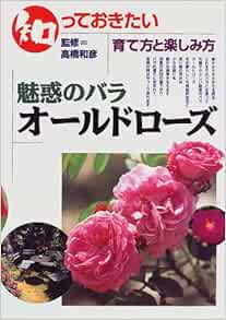 知っておきたい 魅惑のバラ オールドローズ 育て方と楽しみ方 和彦 高橋 本 通販 Amazon