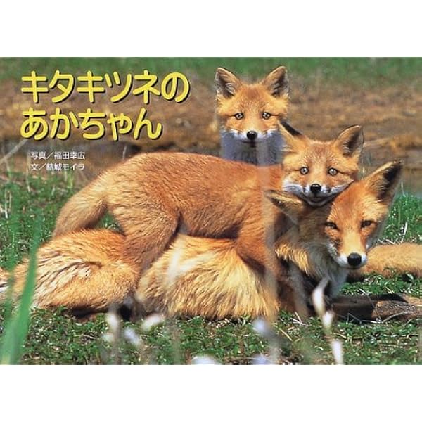 キタキツネのおもいで (Seiseisha mini book) | 今泉 潤 |本 | 通販