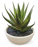 フェイクグリーン [ディコトマ in bowl] HMA-0030